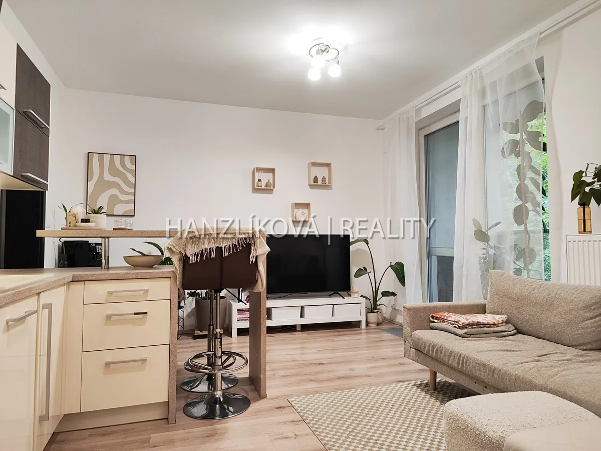 Pronájem bytu 2+kk 48 m²